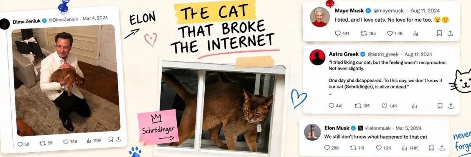 Elon's Cat banner. The cat that broke the internet. Ticker Schrödinger.